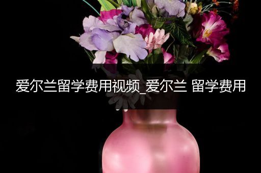 爱尔兰留学费用视频_爱尔兰 留学费用