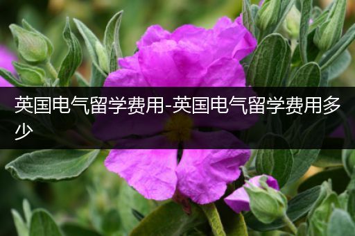 英国电气留学费用-英国电气留学费用多少
