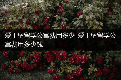 爱丁堡留学公寓费用多少_爱丁堡留学公寓费用多少钱