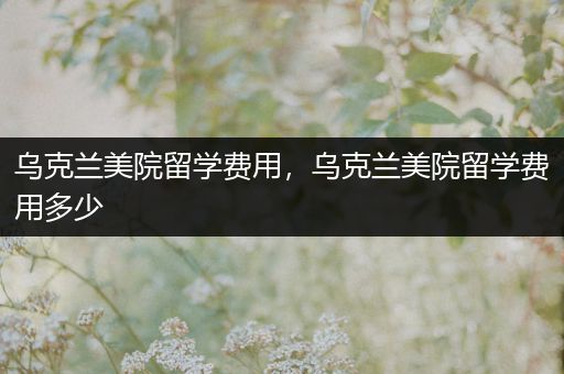 乌克兰美院留学费用，乌克兰美院留学费用多少