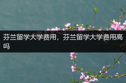 芬兰留学大学费用，芬兰留学大学费用高吗