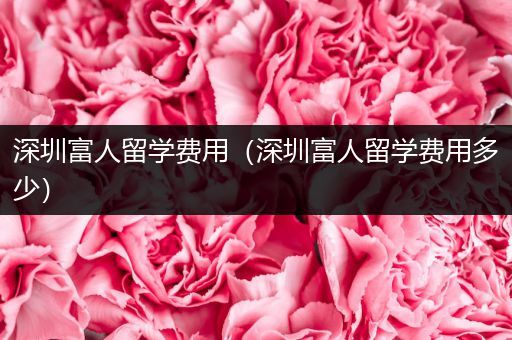 深圳富人留学费用（深圳富人留学费用多少）