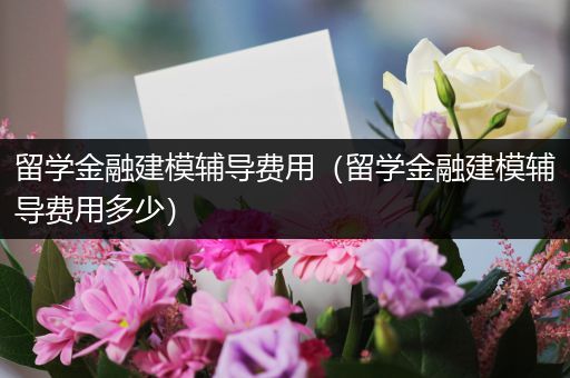 留学金融建模辅导费用（留学金融建模辅导费用多少）