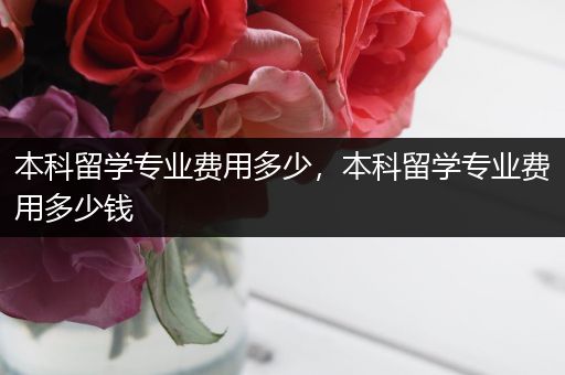 本科留学专业费用多少，本科留学专业费用多少钱