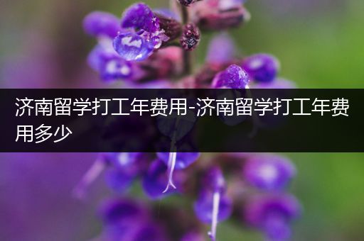 济南留学打工年费用-济南留学打工年费用多少