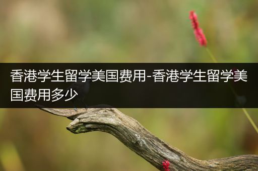香港学生留学美国费用-香港学生留学美国费用多少