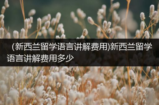 （新西兰留学语言讲解费用)新西兰留学语言讲解费用多少