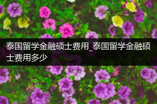 泰国留学金融硕士费用_泰国留学金融硕士费用多少