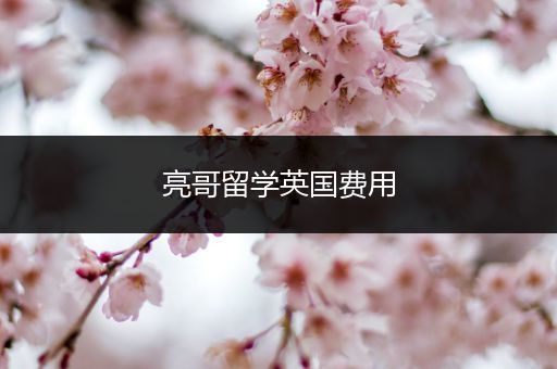 亮哥留学英国费用
