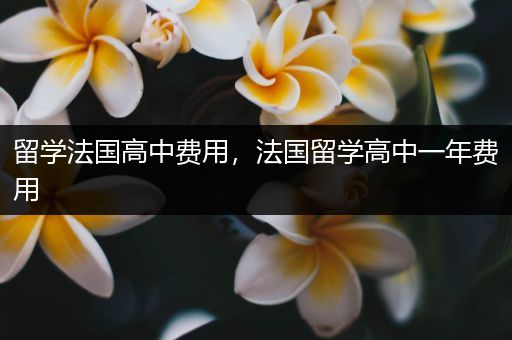 留学法国高中费用，法国留学高中一年费用