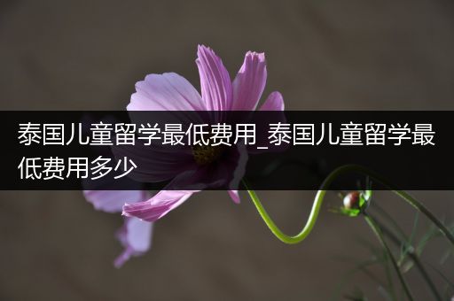 泰国儿童留学最低费用_泰国儿童留学最低费用多少
