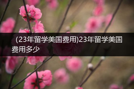 （23年留学美国费用)23年留学美国费用多少