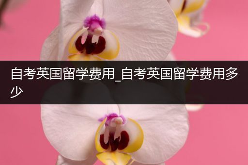 自考英国留学费用_自考英国留学费用多少