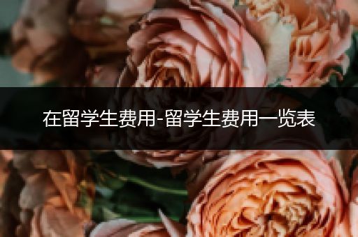 在留学生费用-留学生费用一览表