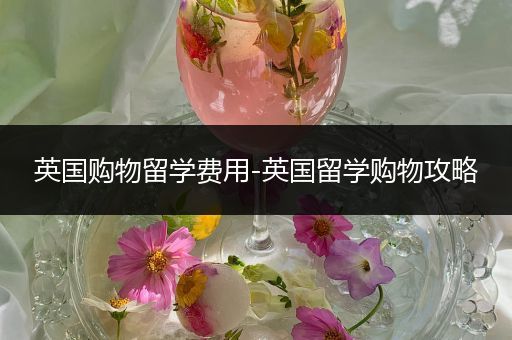 英国购物留学费用-英国留学购物攻略