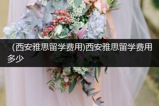 （西安雅思留学费用)西安雅思留学费用多少