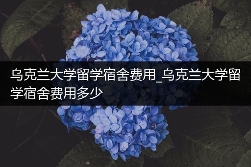 乌克兰大学留学宿舍费用_乌克兰大学留学宿舍费用多少