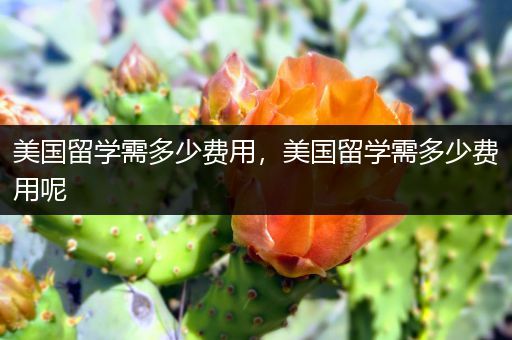 美国留学需多少费用，美国留学需多少费用呢