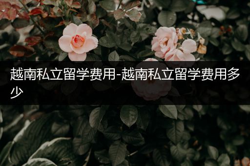 越南私立留学费用-越南私立留学费用多少