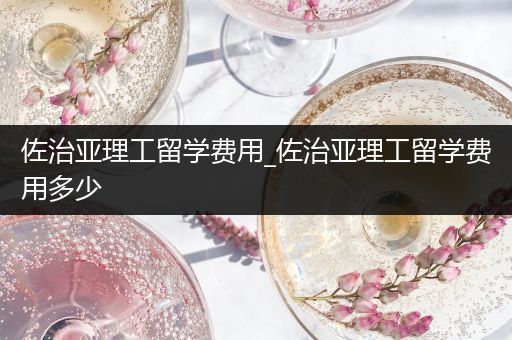 佐治亚理工留学费用_佐治亚理工留学费用多少