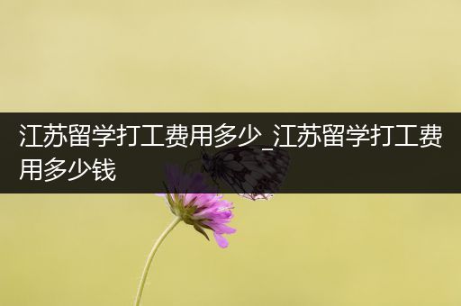 江苏留学打工费用多少_江苏留学打工费用多少钱