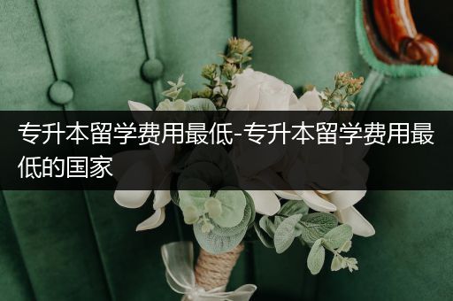 专升本留学费用最低-专升本留学费用最低的国家