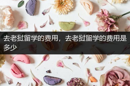 去老挝留学的费用，去老挝留学的费用是多少
