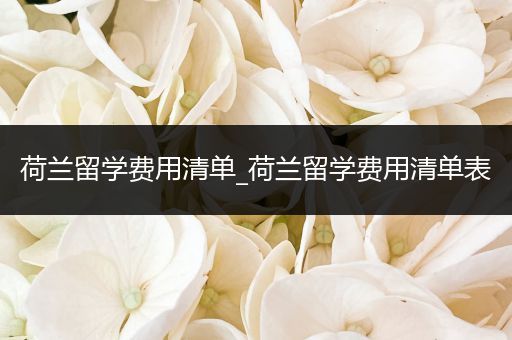 荷兰留学费用清单_荷兰留学费用清单表