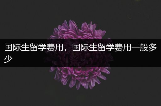 国际生留学费用，国际生留学费用一般多少