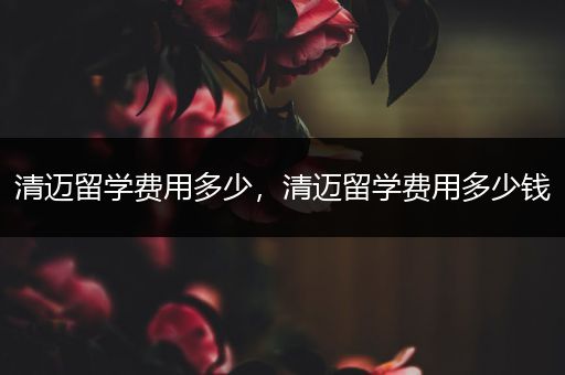 清迈留学费用多少，清迈留学费用多少钱