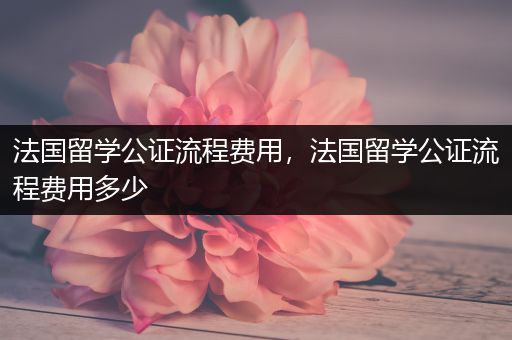 法国留学公证流程费用，法国留学公证流程费用多少