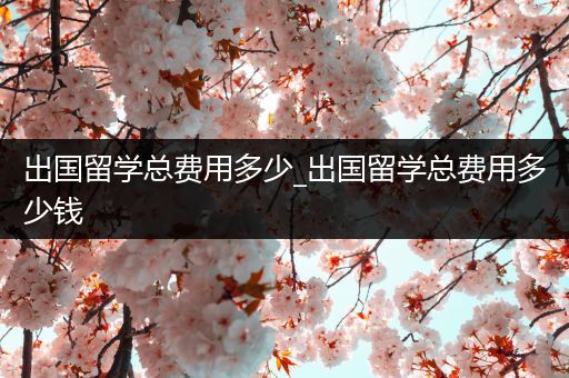 出国留学总费用多少_出国留学总费用多少钱