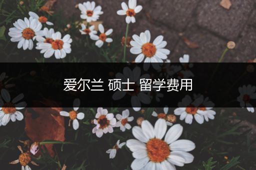 爱尔兰 硕士 留学费用