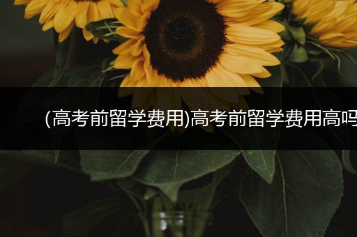 （高考前留学费用)高考前留学费用高吗