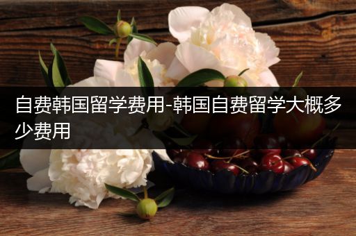 自费韩国留学费用-韩国自费留学大概多少费用