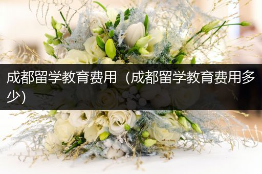 成都留学教育费用（成都留学教育费用多少）
