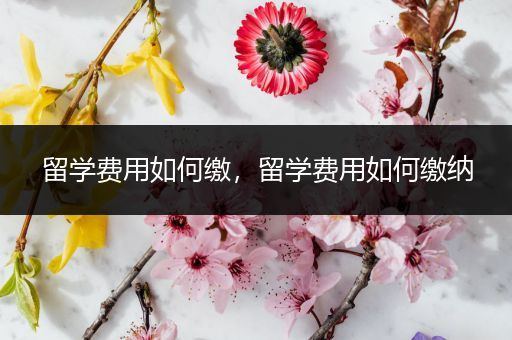 留学费用如何缴，留学费用如何缴纳