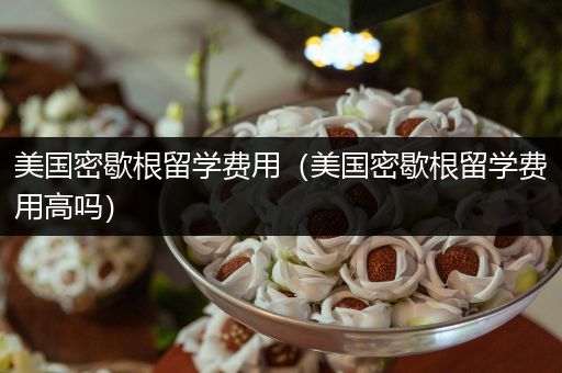 美国密歇根留学费用（美国密歇根留学费用高吗）