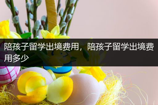 陪孩子留学出境费用，陪孩子留学出境费用多少
