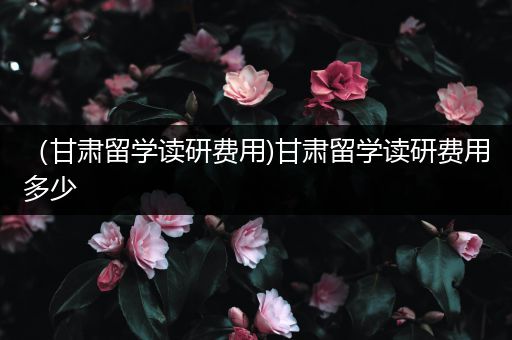 （甘肃留学读研费用)甘肃留学读研费用多少
