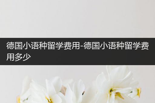 德国小语种留学费用-德国小语种留学费用多少