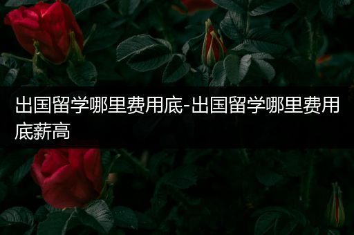 出国留学哪里费用底-出国留学哪里费用底薪高