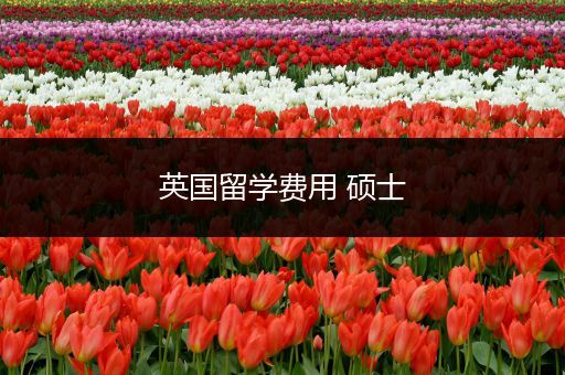 英国留学费用 硕士