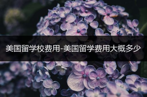 美国留学校费用-美国留学费用大概多少