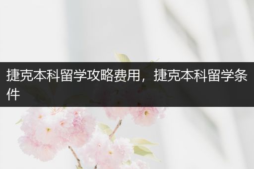捷克本科留学攻略费用，捷克本科留学条件
