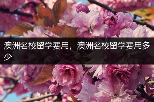 澳洲名校留学费用，澳洲名校留学费用多少