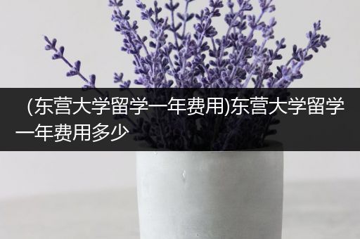 （东营大学留学一年费用)东营大学留学一年费用多少