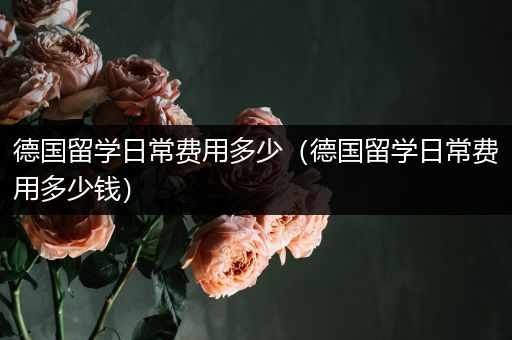 德国留学日常费用多少（德国留学日常费用多少钱）