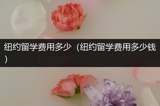 纽约留学费用多少（纽约留学费用多少钱）