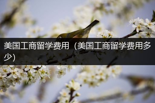 美国工商留学费用（美国工商留学费用多少）